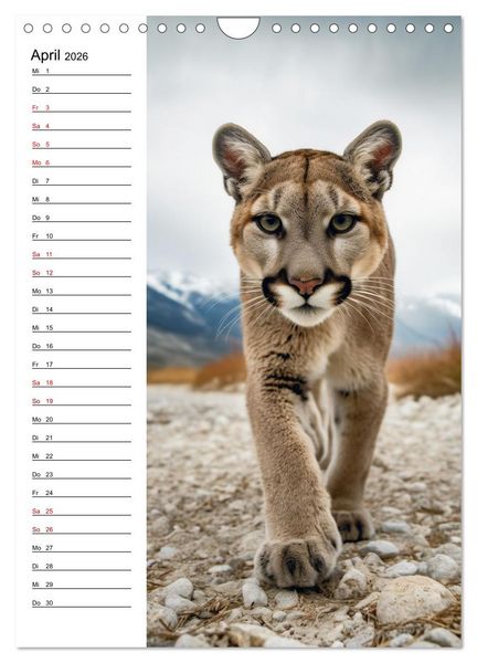 Produktbild: Ganz von vorn (Wandkalender 2026 DIN A4 hoch), CALVENDO Monatskalender