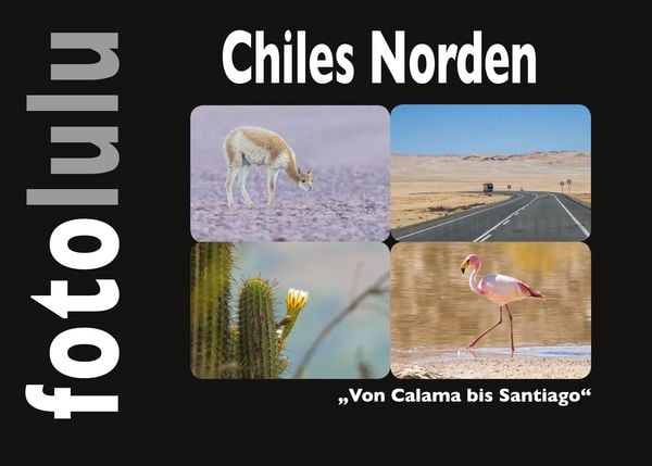 Produktbild: Chiles Norden