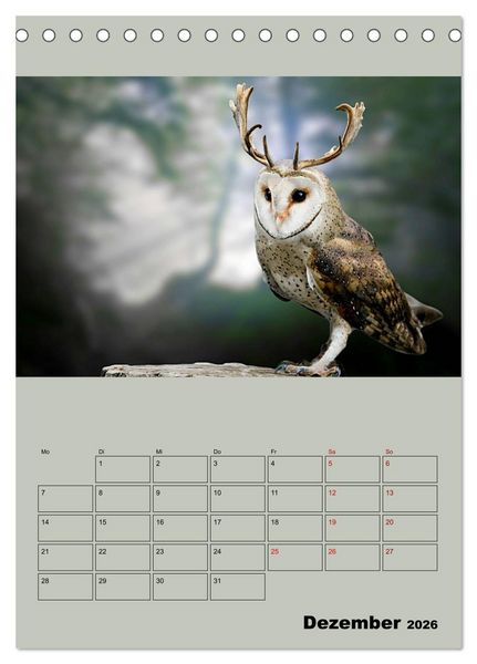 Produktbild: Seltsame Tiere - da stimmt doch was nicht... (Tischkalender 2026 DIN A5 hoch), CALVENDO Monatskalender
