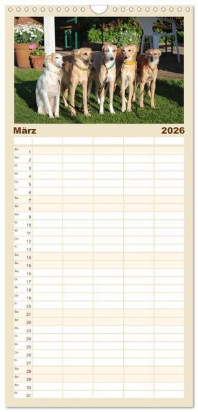 Produktbild: Familienplaner 2026 - Der Silken Windsprite - ein Seelenhund mit 5 Spalten (Wandkalender, 21 x 45 cm) CALVENDO