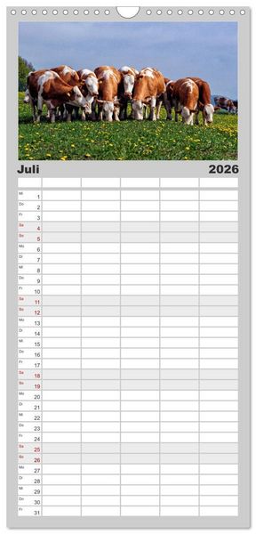 Produktbild: Familienplaner 2026 - Kuh und Co. mit 5 Spalten (Wandkalender, 21 x 45 cm) CALVENDO