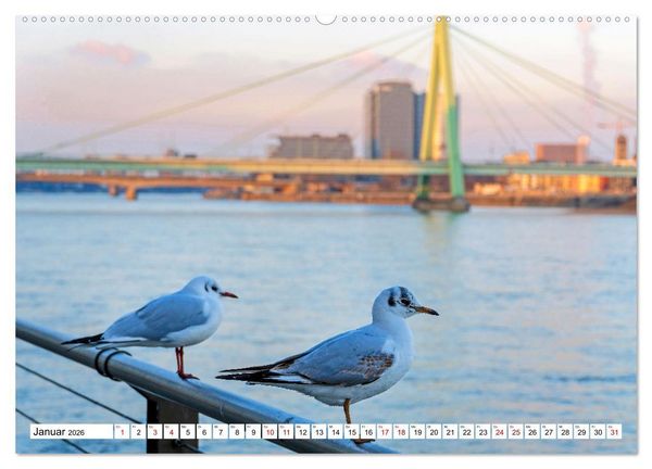 Produktbild: K&ouml;ln - Facetten einer Stadt (hochwertiger Premium Wandkalender 2026 DIN A2 quer), Kunstdruck in Hochglanz