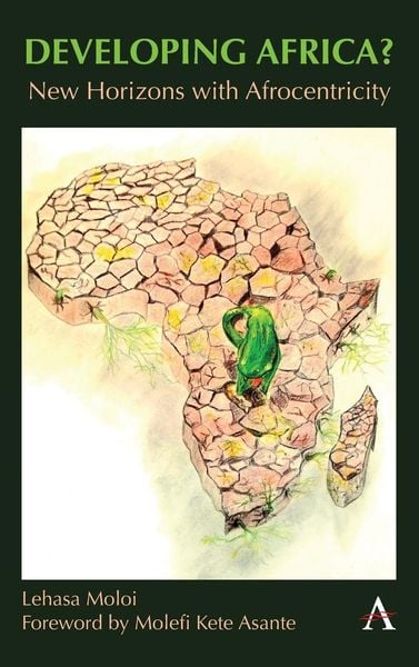 Produktbild: Developing Africa?