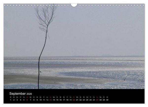 Produktbild: Wunderbare Nordsee (Wandkalender 2026 DIN A3 quer), CALVENDO Monatskalender