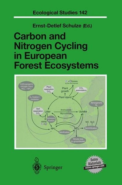 Produktbild: Carbon and Nitrogen Cycling in European Forest Ecosystems, w. CD-ROM