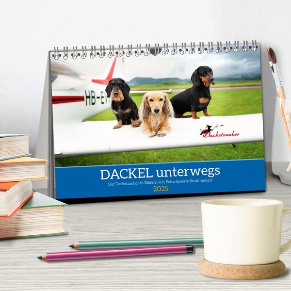 Dackel unterwegs (Tischkalender 2025 DIN A5 quer), CALVENDO Monatskalender