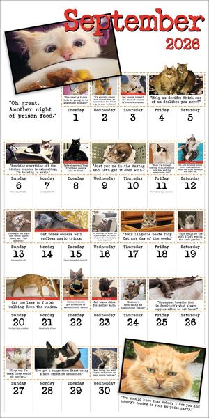 Produktbild: Bad Cat Wall Calendar 2026