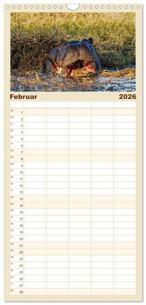 Produktbild: Familienplaner 2026 - Hippos - Gef&auml;hrliche Giganten mit 5 Spalten (Wandkalender, 21 x 45 cm) CALVENDO