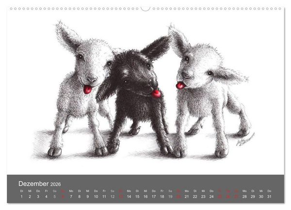 Produktbild: owls & friends 2026 (hochwertiger Premium Wandkalender 2026 DIN A2 quer), Kunstdruck in Hochglanz
