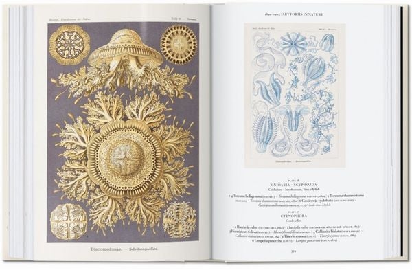 Produktbild: The Art and Science of Ernst Haeckel