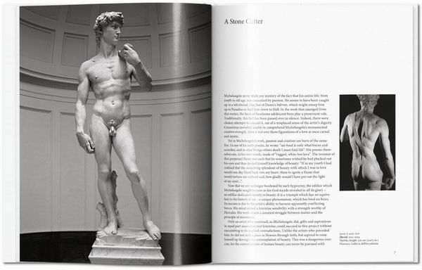 Produktbild: Michelangelo