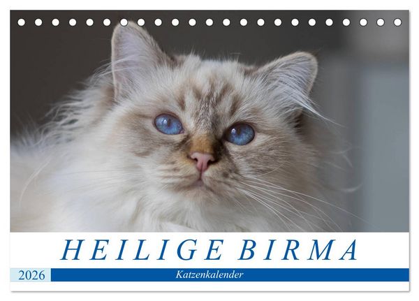 Heilige Birma Katzenkalender (Tischkalender 2026 DIN A5 quer), CALVENDO Monatskalender