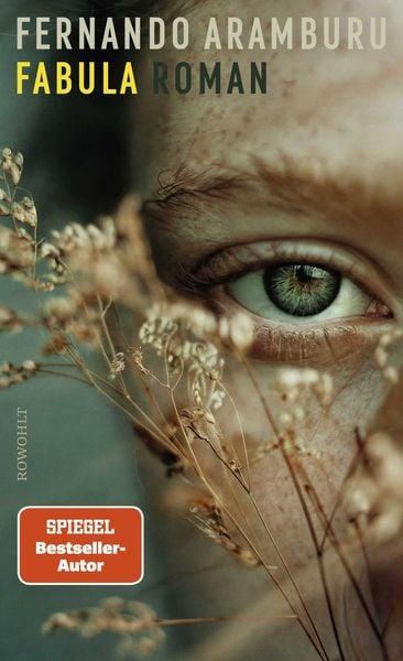 Fabula, Gebundene Ausgabe von Fernando Aramburu, Rowohlt, 9783498003968