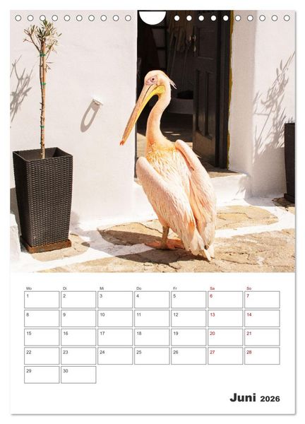 Produktbild: Stadt Mykonos - Reiseplaner (Wandkalender 2026 DIN A4 hoch), CALVENDO Monatskalender