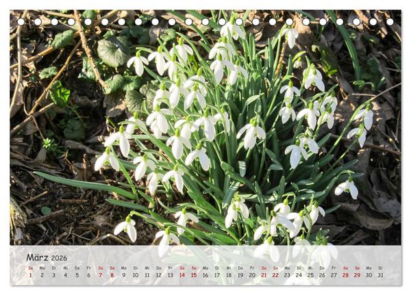 Produktbild: Vier Jahreszeiten - Eine Welt (Tischkalender 2026 DIN A5 quer), CALVENDO Monatskalender