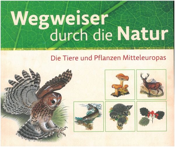 Wegweiser durch die Natur