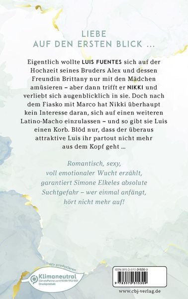 Du oder die große Liebe