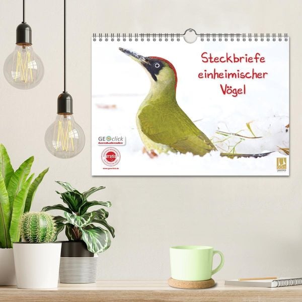 Produktbild: Steckbriefe einheimischer V&ouml;gel (Wandkalender 2026 DIN A4 quer), CALVENDO Monatskalender