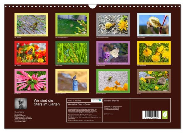 Produktbild: Wir sind die Stars im Garten (Wandkalender 2026 DIN A3 quer), CALVENDO Monatskalender