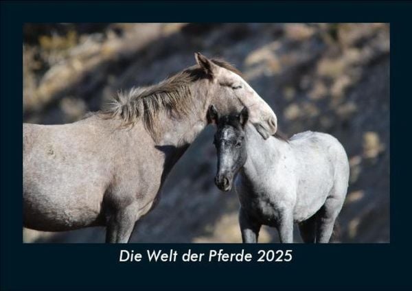 Produktbild: Die Welt der Pferde 2025 Fotokalender DIN A5