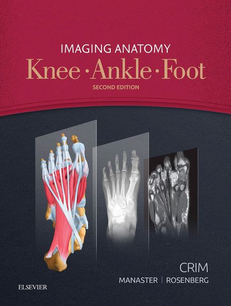 Produktbild: Imaging Anatomy: Knee, Ankle, Foot E-Book