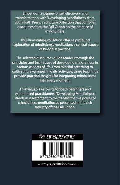 Produktbild: Developing Mindfulness