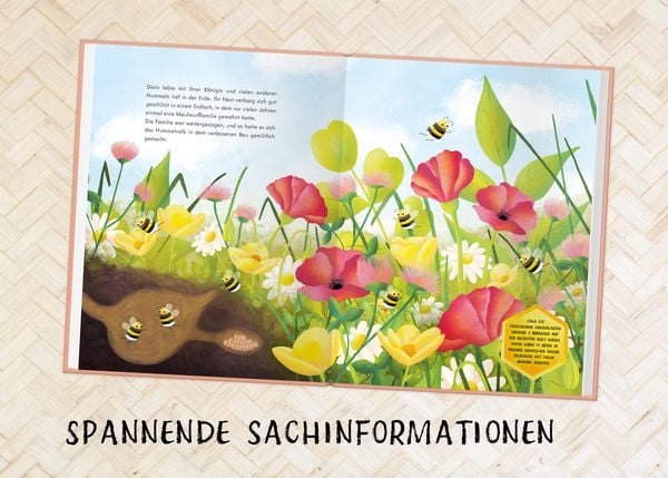 Produktbild: Die dicke Hummel Doris