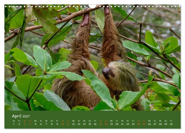 Produktbild: Costa Rica - Naturparadies zwischen Karibik und Pazifik (Wandkalender 2027 DIN A3 quer), CALVENDO Monatskalender