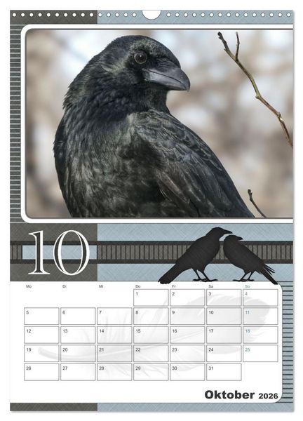Produktbild: Kr&auml;hen - Clever notiert! Mit K&ouml;pfchen durchs ganze Jahr (Wandkalender 2026 DIN A3 hoch), CALVENDO Monatskalender