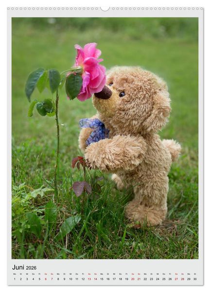 Produktbild: Travelling Teddy in Europa (hochwertiger Premium Wandkalender 2026 DIN A2 hoch), Kunstdruck in Hochglanz