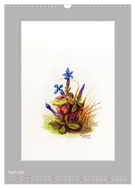 Produktbild: Alpenblumen Aquarelle aus Tirol (Wandkalender 2026 DIN A3 hoch), CALVENDO Monatskalender