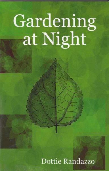 Produktbild: Gardening at Night