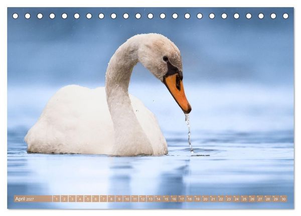 Produktbild: Faszination Ph&ouml;nixsee (Tischkalender 2027 DIN A5 quer), CALVENDO Monatskalender