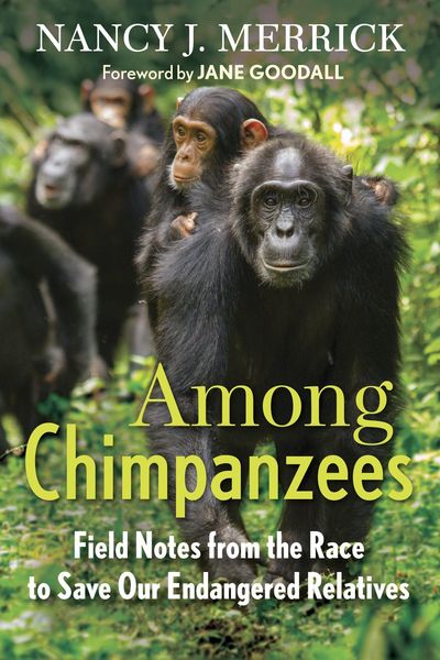 Produktbild: Among Chimpanzees: Field Notes from the Race to Save Our Endangered Relatives