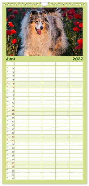 Produktbild: Familienplaner 2027 - Traumhund Collie - Mein bester Freund mit 5 Spalten (Wandkalender, 21 x 45 cm) CALVENDO