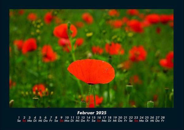 Produktbild: Blumentr&auml;ume 2025 Fotokalender DIN A4