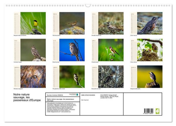 Produktbild: Notre nature sauvage, les passereaux d'Europe (Calendrier mural 2026 DIN A2 vertical), CALVENDO calendrier mensuel