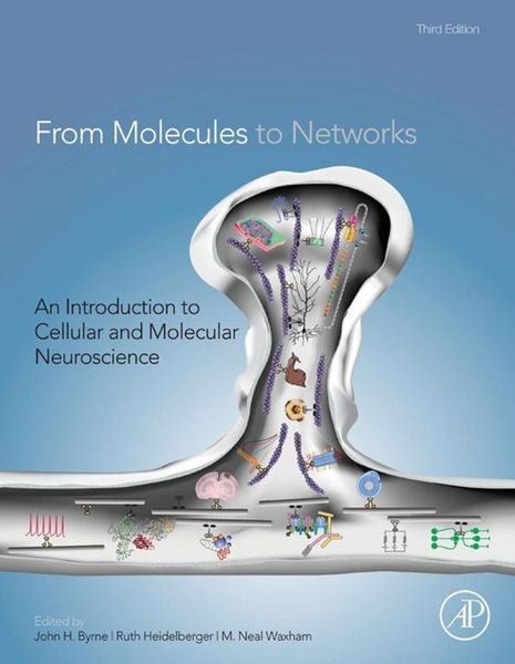 Produktbild: From Molecules to Networks