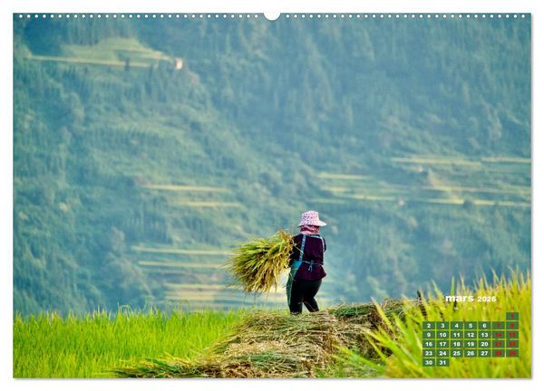 Produktbild: Riz de Chine (Calendrier mural 2026 DIN A2 vertical) calendrier de bureau