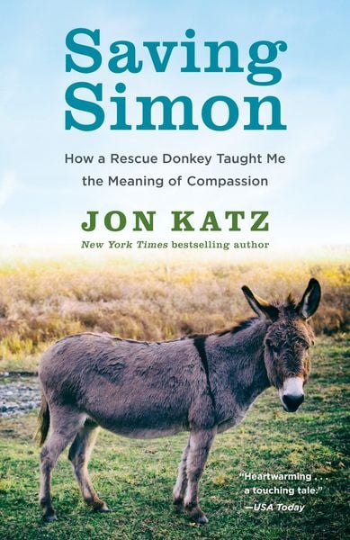 Produktbild: Saving Simon