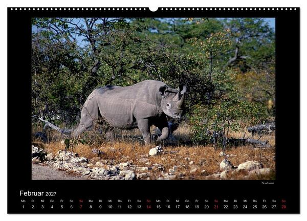 Produktbild: Wildtiere im Etosha Nationalpark (Wandkalender 2027 DIN A2 quer), CALVENDO Monatskalender