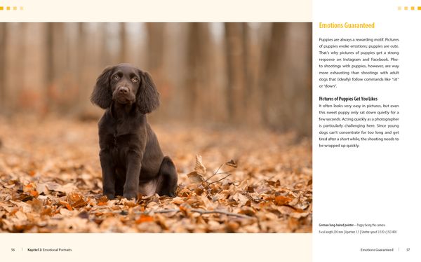 Produktbild: Dog Photography - Shooting with Bow "Wow" Effect