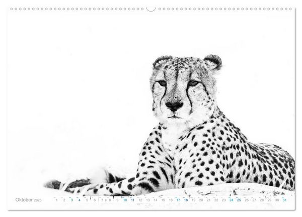 Produktbild: AFRIKA - Schwarz-weiss Fotografien im modernen "High Key" Look (Wandkalender 2026 DIN A2 quer), CALVENDO Monatskalender