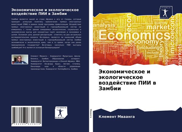Produktbild: Jekonomicheskoe i &auml;kologicheskoe wozdejstwie PII w Zambii