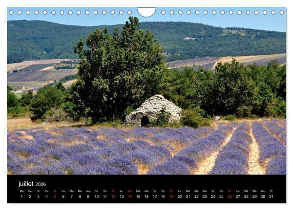 Produktbild: Lavande, l'or bleu de Provence (Calendrier mural 2026 DIN A4 vertical), CALVENDO calendrier mensuel