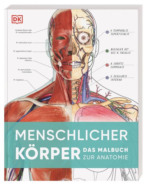 Produktbild: Menschlicher K&ouml;rper