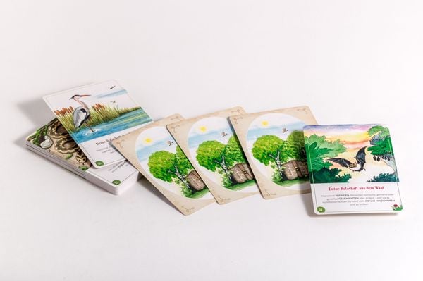 Produktbild: Wilder Weiser Wald. Achtsame Botschaften, die Kinderseelen st&auml;rken. Kartenset