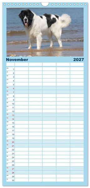 Produktbild: Familienplaner 2027 - Landseer - Das Wasser ist ihr Element mit 5 Spalten (Wandkalender, 21 x 45 cm) CALVENDO
