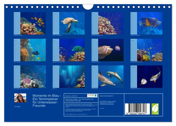 Produktbild: Momente im Blau - Ein Terminplaner f&uuml;r Unterwasser-Freunde (Wandkalender 2026 DIN A4 quer), CALVENDO Monatskalender