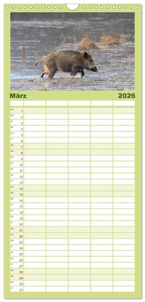 Produktbild: Familienplaner 2026 - Wildschweine &ndash; Wildlife Fotografien mit 5 Spalten (Wandkalender, 21 x 45 cm) CALVENDO